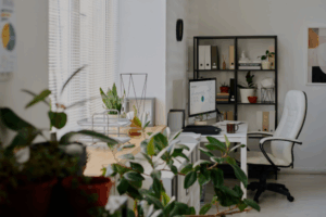 Business Setup Consultants in Hyderabad.