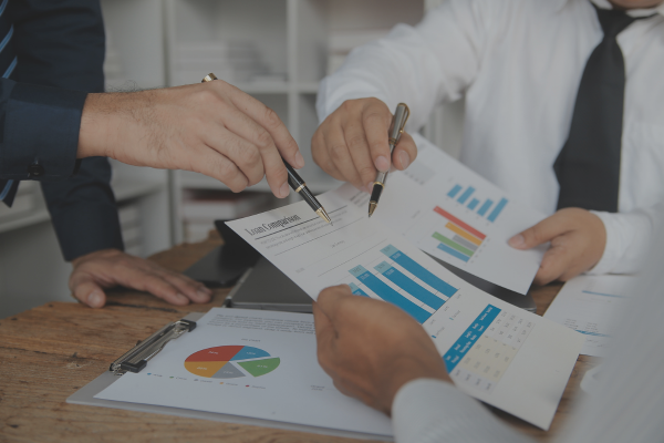 Project Report Preparation Services